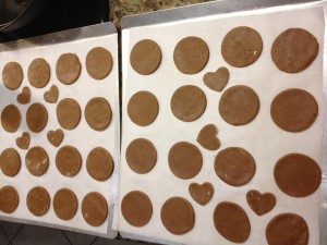 speculoos2