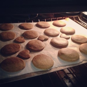 speculoos3