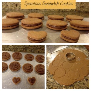 speculoos6